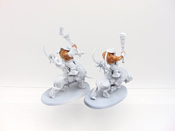 Mournfang Cavalry Pack