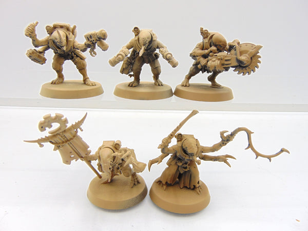 Acolyte Hybrids
