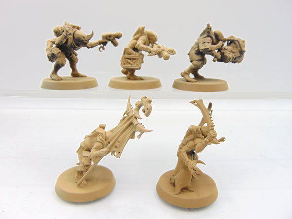 Acolyte Hybrids