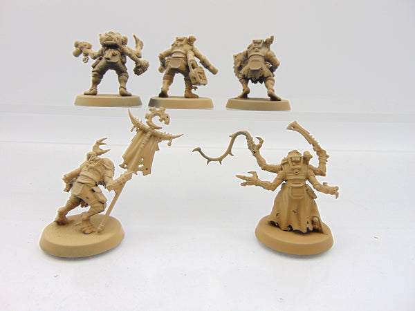 Acolyte Hybrids