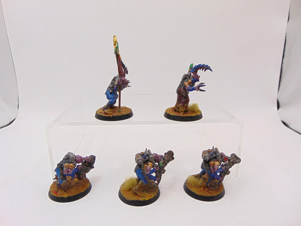 Acolyte Hybrids