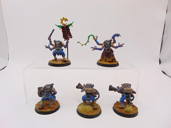Acolyte Hybrids
