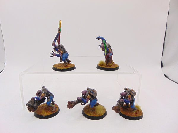 Acolyte Hybrids