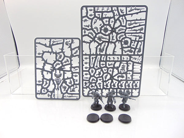 Solar Auxilia Tactical Command Section