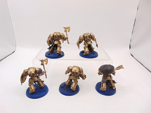 Wolf Guard Terminators