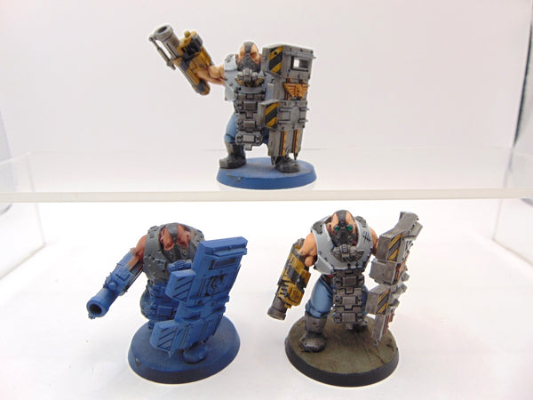 Bullgryns