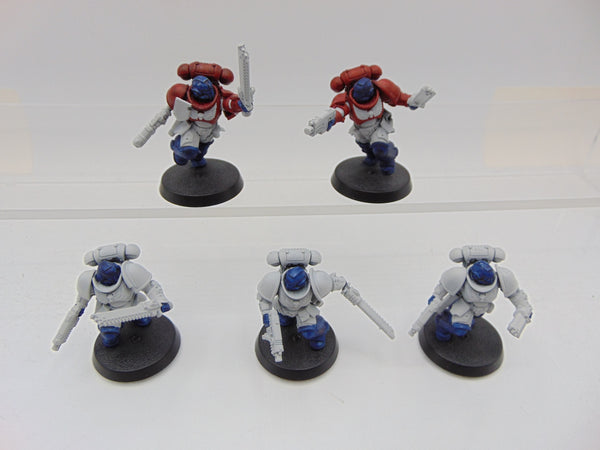 Assault Intercessors