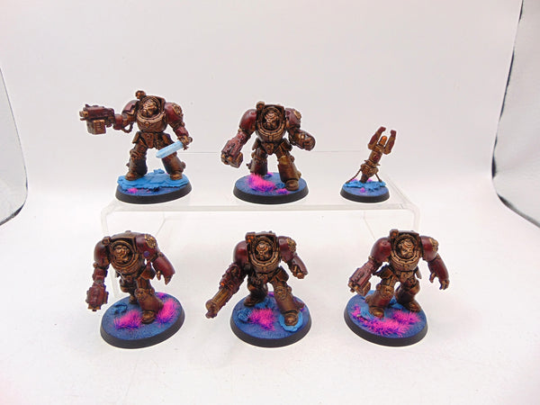 Terminator Squad