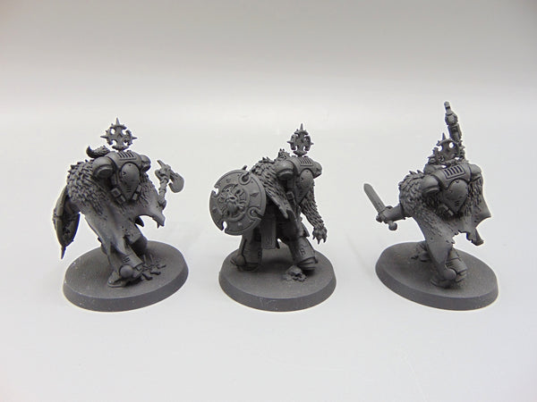 Wolf Guard Headtakers