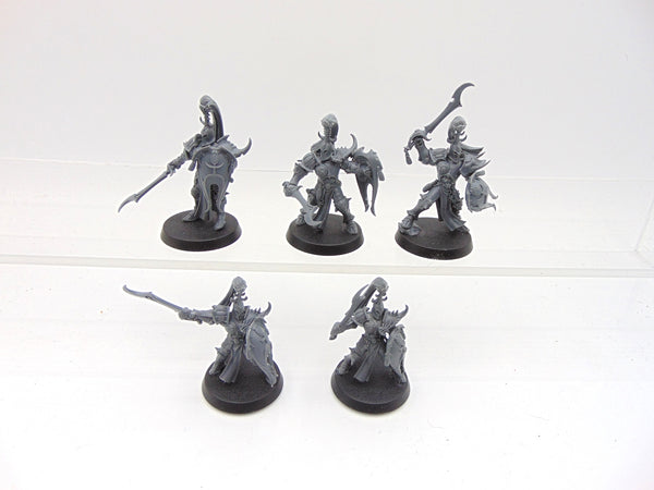 Myrmidesh Painbringers