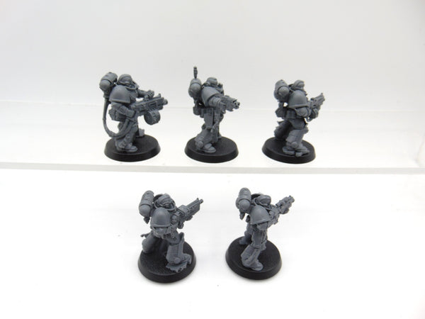 Sternguard Veterans