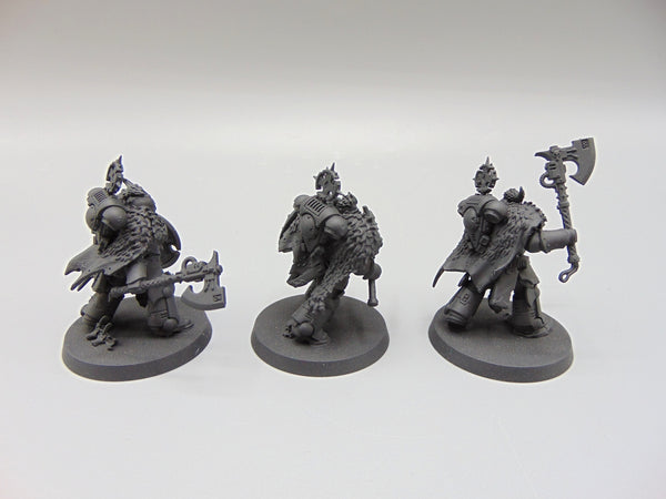Wolf Guard Headtakers
