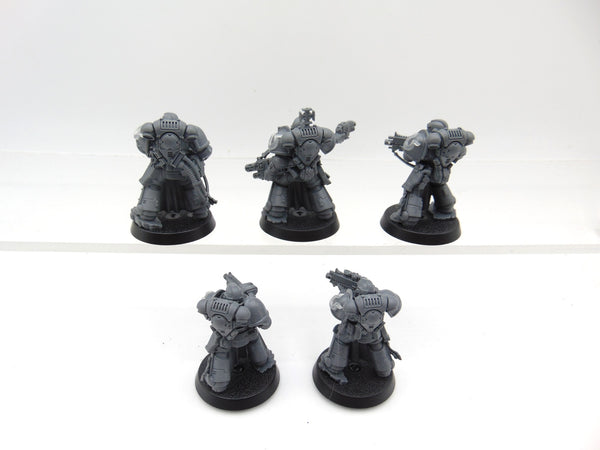 Sternguard Veterans