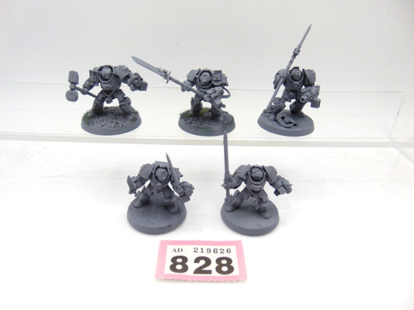 Brotherhood Terminator Squad