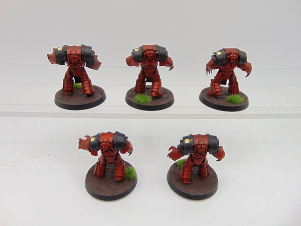 Cataphractii Terminator Squad