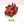 Immolator