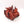 Immolator