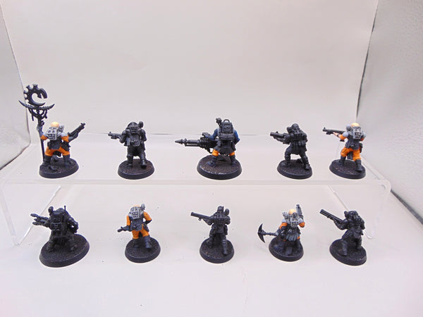 Neophyte Hybrids