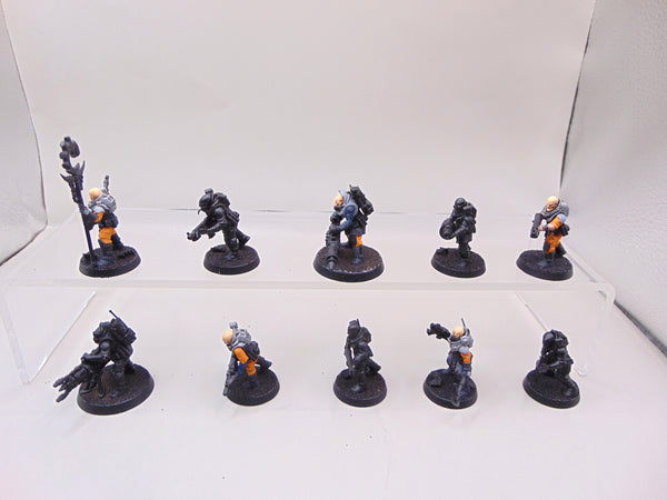 Neophyte Hybrids