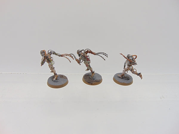 Arco Flagellants