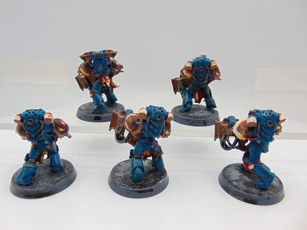 Emperor's Children Kakophoni