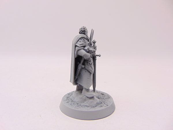 Freeguild Marshal