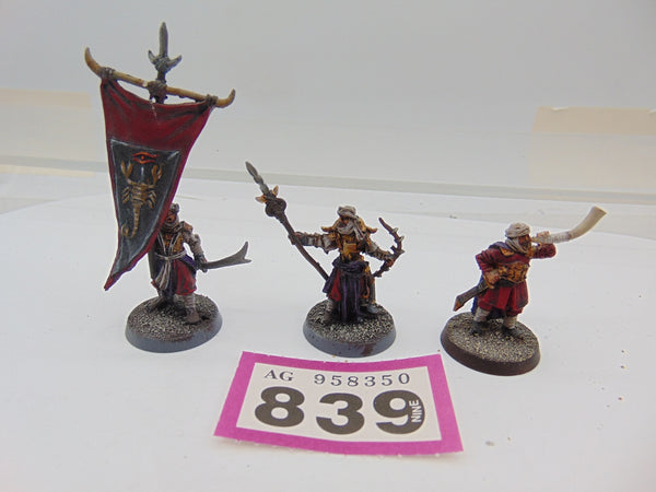 Haradrim Captain Warrior with War Horn and  Banner Bearer,