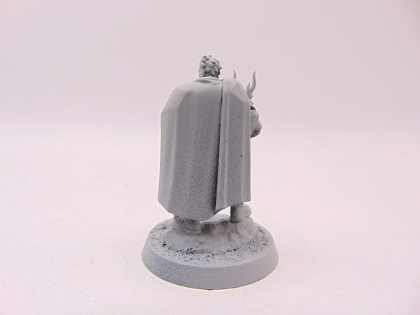 Freeguild Marshal