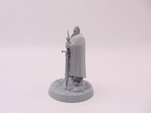 Freeguild Marshal