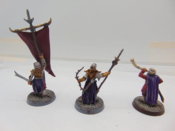 Haradrim Captain Warrior with War Horn and  Banner Bearer,