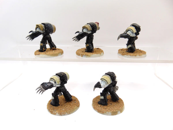 Cataphractii Terminator Squad