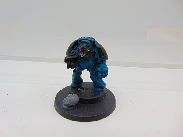 Space Hulk Terminator