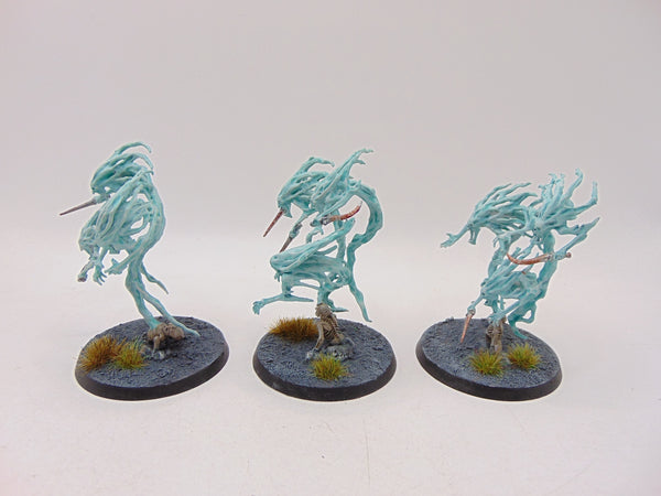Spirit Hosts