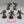 Warp Talons