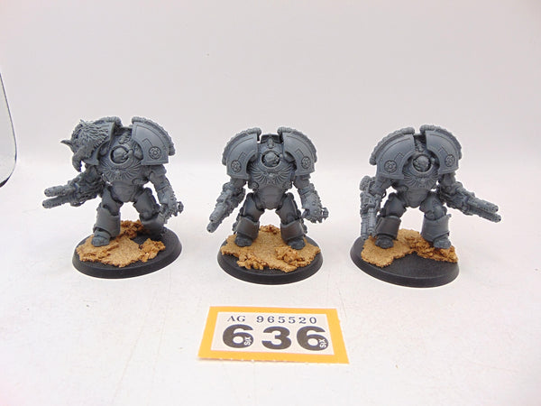 Saturnine Terminators