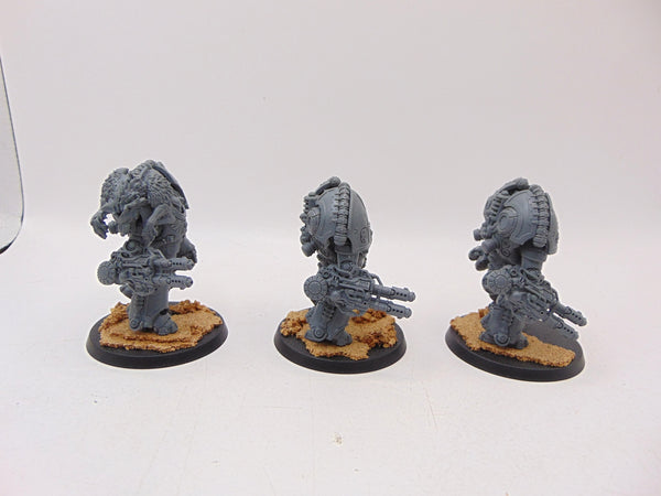 Saturnine Terminators