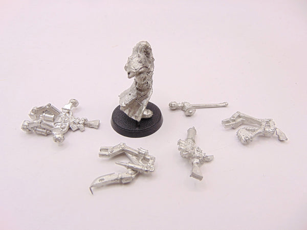 Fabius Bile