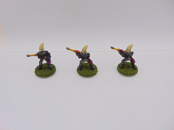 Eldar Guardians