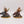 Mournfang Cavalry Pack