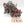 Trukk