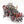 Trukk
