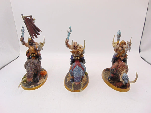 Mournfang Cavalry Pack