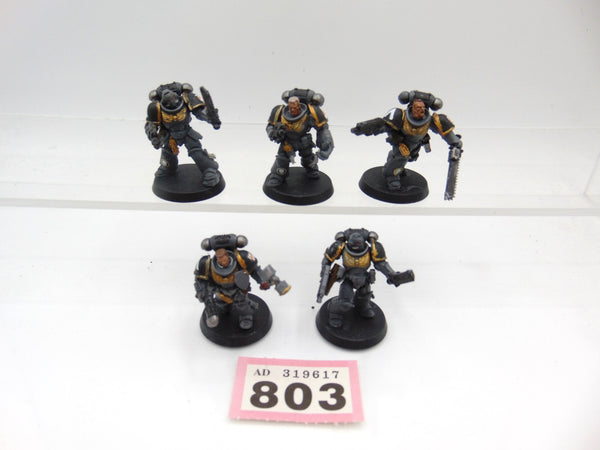Assault Intercessors