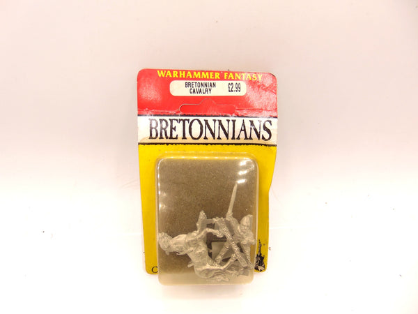 Bretonnian Cavalry