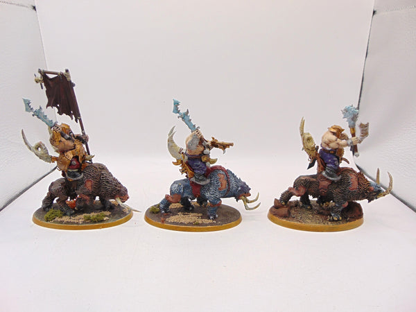 Mournfang Cavalry Pack