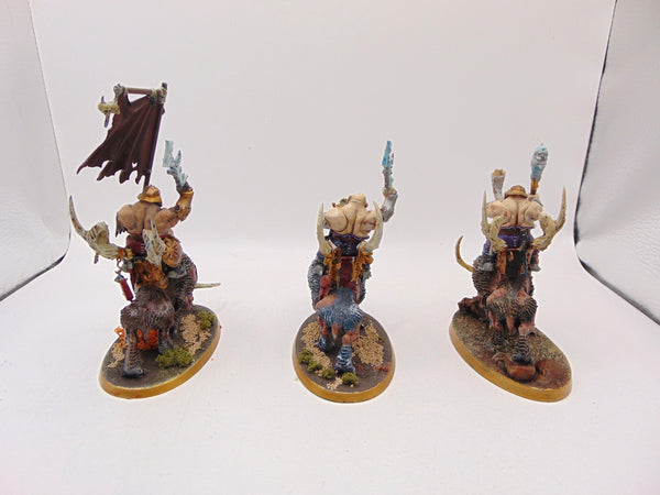 Mournfang Cavalry Pack