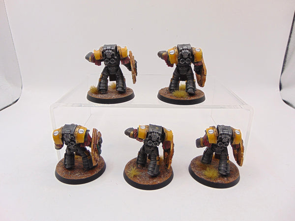 Cataphractii Terminator Squad