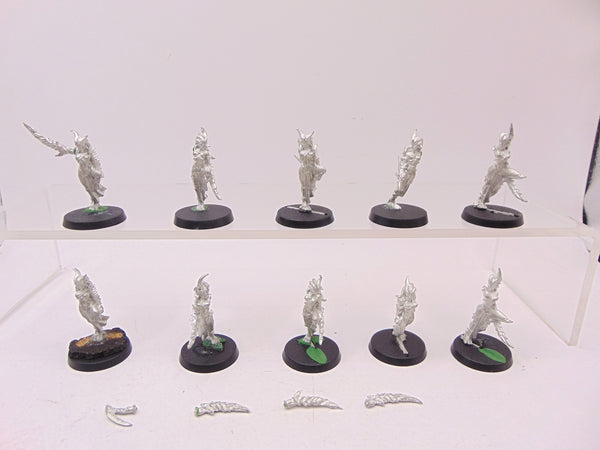 Juan Diaz Daemonettes