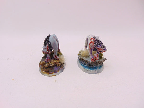 Frost Sabres