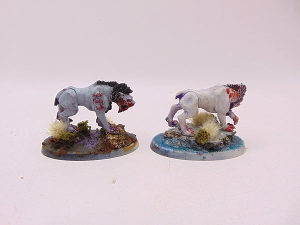 Frost Sabres